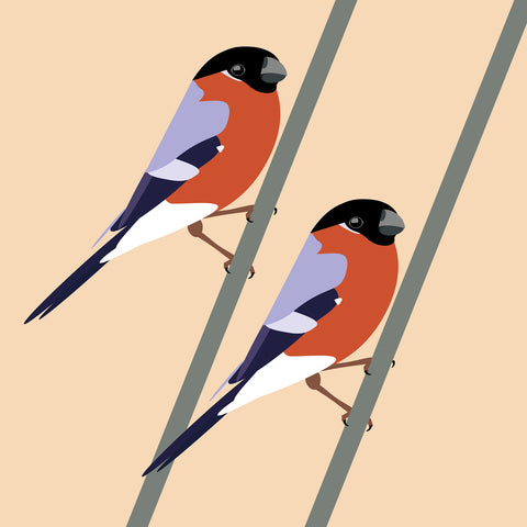 OW05 Bullfinches (pack of 6)