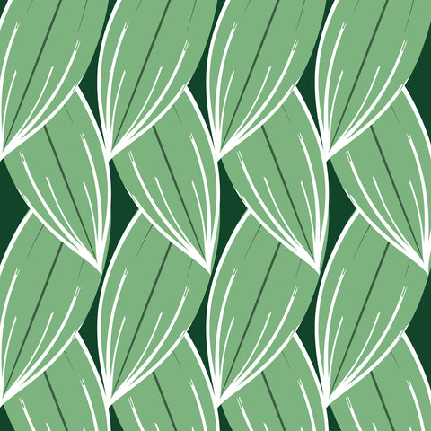 PE13 Hosta array (pack of 6)