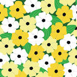PE42 Small black-eyed susans (pack of 6)