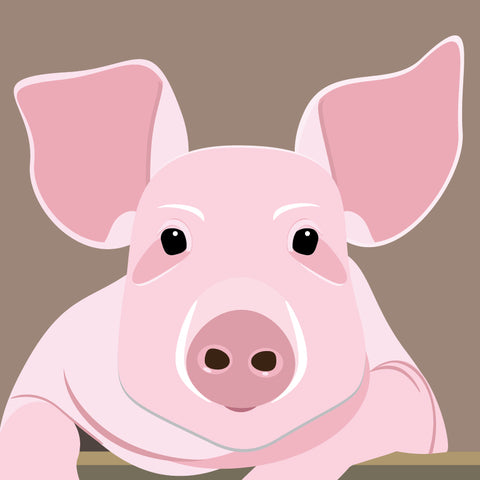 UP01 Pig