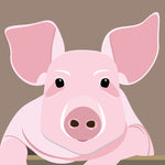 UP01 Pig (pack of 6)