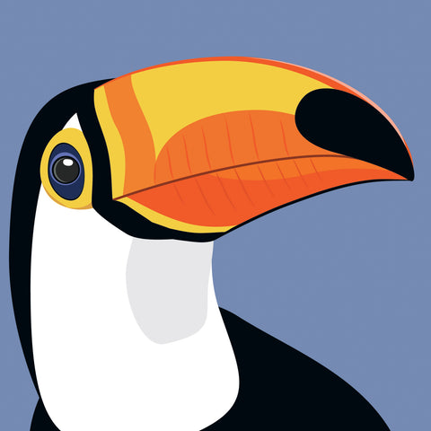 UP28 Toucan (pack of 6)