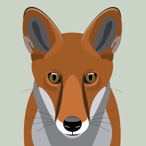 UP03 Fox (pack of 6)