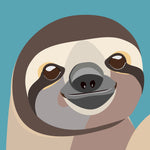 UP41 Sloth (pack of 6)