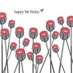 BR05 Poppies birthday (pack of 6)