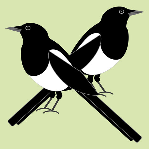 OW01 Magpies
