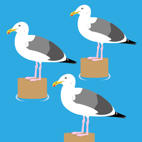 OW04 Seagulls (pack of 6)