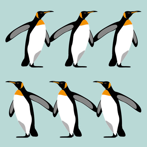 OW08 Penguins
